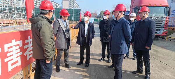 王思军到省康养公司六州雅园项目包保督导